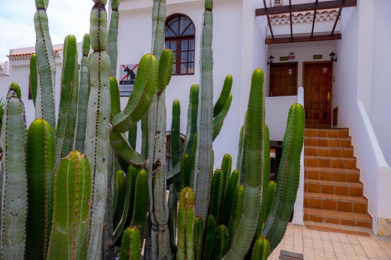 Las Bouganvillas 1 Bed Apartment In Costa Adeje Exterior photo